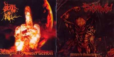 Created to Kill / Decomposed - Pleasure to Dismemberment / Sample of Destruction