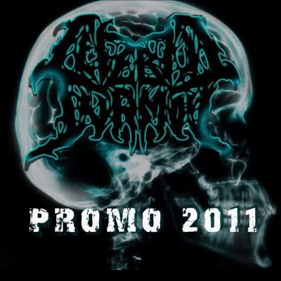 Cerebric Turmoil - Promo 2011