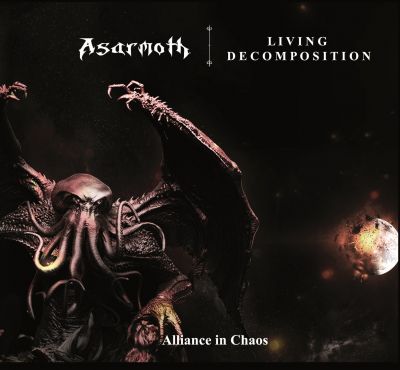 Living Decomposition - Alliance in Chaos