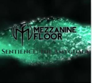 Mezzanine Floor - Sentience! the Amygdala