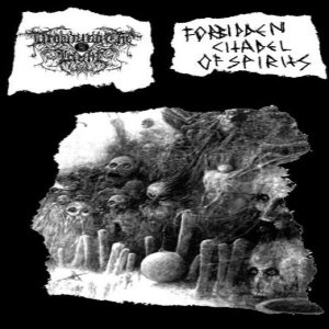 Forbidden Citadel of Spirits - Drowning the Light / Forbidden Citadel of Spirits