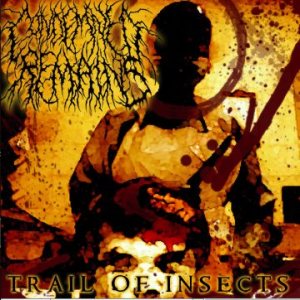 Condemned Remains - Trail of Insects