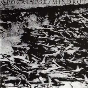 Mindrot - Apocalypse / Mindrot