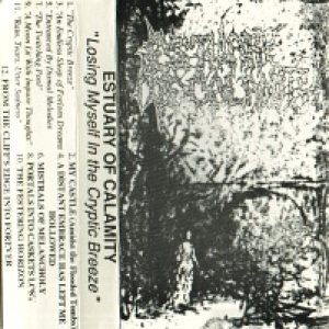 Estuary of Calamity - Losing Myself in the Cryptic Breeze