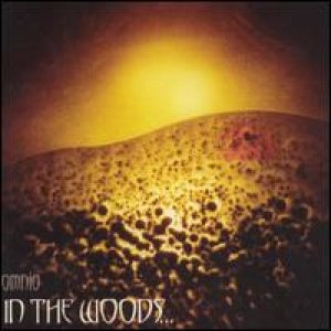 In The Woods - Omnio