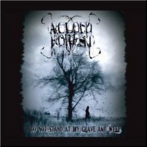 A Cloud Forest - Do Not Stand At My Grave and Weep