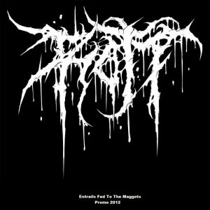 Rott - Entrails Fed to the Maggots