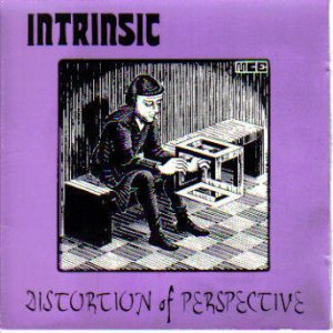 Intrinsic - Distortion of Perspective