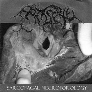 Patisserie - Sarcofagal Necroforology