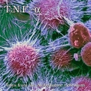 Tumor Necrosis Factor-alpha - Tales from the Endoplasmic Ridiculum