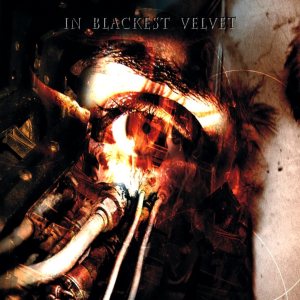 In Blackest Velvet - Insuisight
