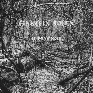 Einstein-Rosen - Le Pont Noir