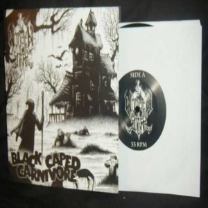 Wooden Stake - Black Caped Carnivore