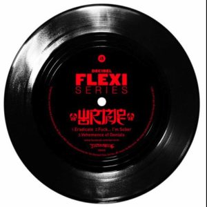 Wormrot - Decibel Flexi Series