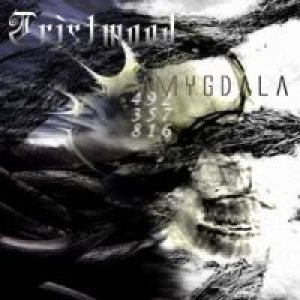 Tristwood - Amygdala
