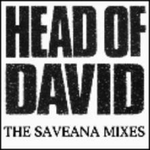 Head of David - The Saveana Mixes