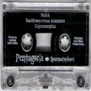 Pentagoria - Spermatophore