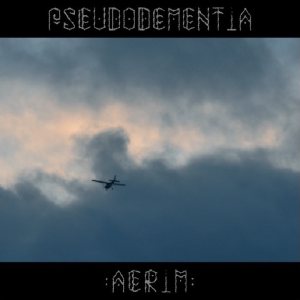 Pseudodementia - Aerim