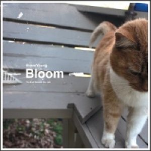 Braveyoung - Bloom