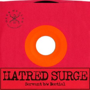 Hatred Surge - Servant b/w Bestial