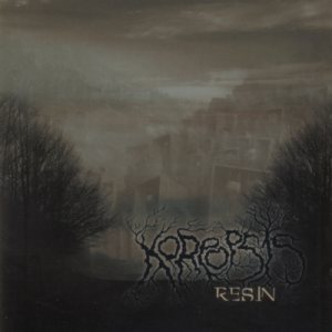 Koreopsis - Resin