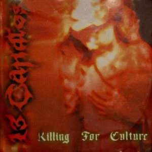 13 Candles - Killing for Culture