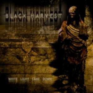 Black Harvest - White Light Came Down