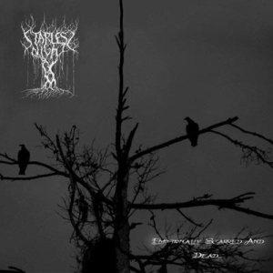 Starless Night - Emotionally Scarred and Dead...