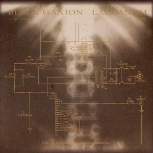 Laudanum - Ultrasonic Generator Schematic