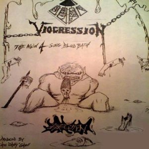 Viogression - Execution