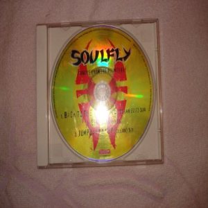 Soulfly - Tracks from the Primitive