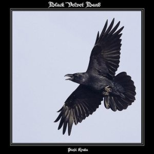 Black Velvet Band - Pieśń Kruka