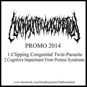 Morphogenetic Malformation - Promo 2014
