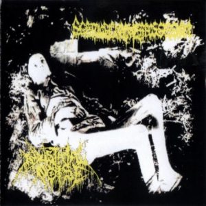 Scatological Madness Possession - Scatological Madness Possession / Industrial Noise