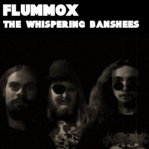 Flummox - The Whispering Banshees