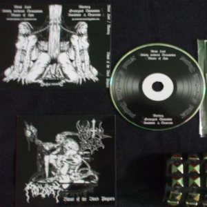 Metal Lord - Ritual of the Black Plagues