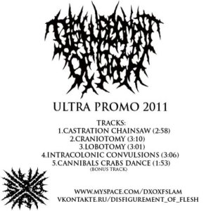 Disfigurement Of Flesh - Ultra Promo 2011