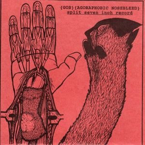 Agoraphobic Nosebleed - Split Seven Inch Record