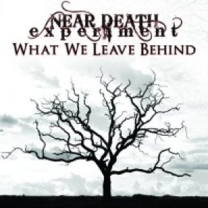 Near Death Experiment - What We Leave Behind