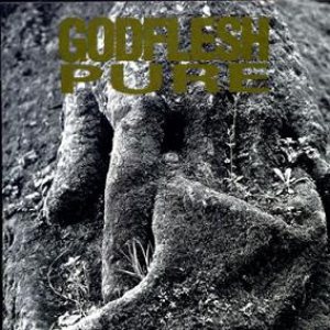 Godflesh - Pure
