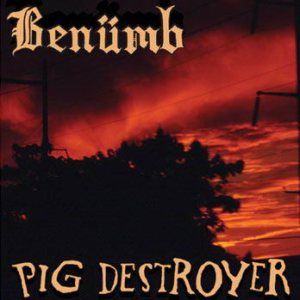 Benümb / Pig Destroyer - Benümb / Pig Destroyer