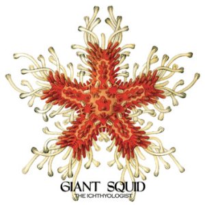 Giant Squid - The Ichthyologist