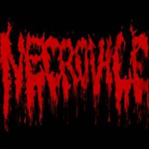 Necrovile - Promo