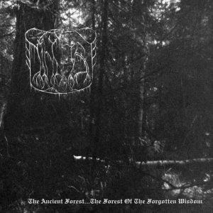 The True Nihilist - The Ancient Forest...The Forest of the Forgotten Wisdom