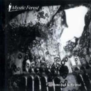 Mystic Forest - Welcome back in the forest
