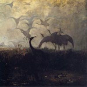 Dead Raven Choir - Armoured Wolves