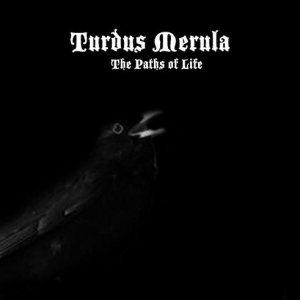 Turdus Merula - The Paths of Life