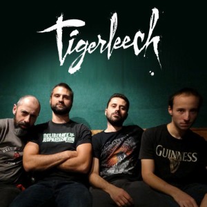 Tigerleech