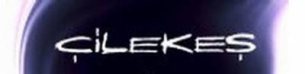 Cilekes logo