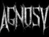 Agnosy logo